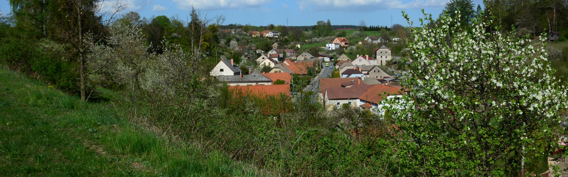 Člupek