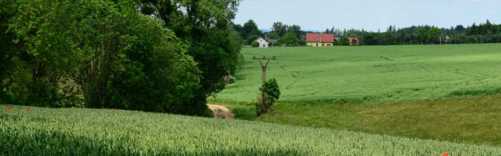 Pudilka