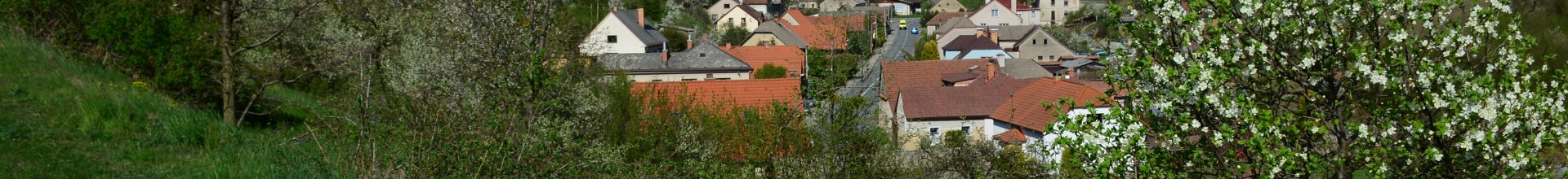 Člupek